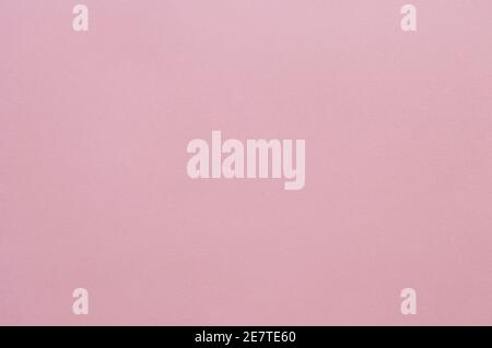 Pink colored tinted paper sheet background. Stock Photo