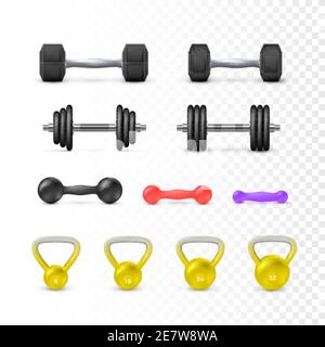 Set of dumbbells and weight. Fitness and bodybuilding equipment. Vector illustration Stock Vector