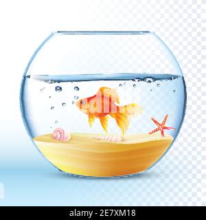 Goldfish swimming in round fishbowl with shell and starfish on the sand bottom poster abstract vector illustration Stock Vector