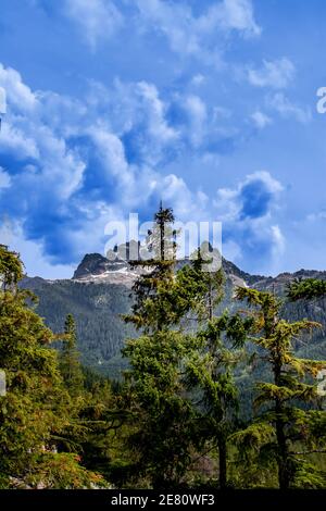 Clouds rising above the forest on the mountains, Squamish, BC, Canada. Squamish is a bustling town between Vancouver and Whistler, in BC, Canada, famo Stock Photo