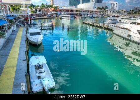 The marina located at The Bayfront Marketplace on Biscayne Bay in Miami, Florida. Stock Photo