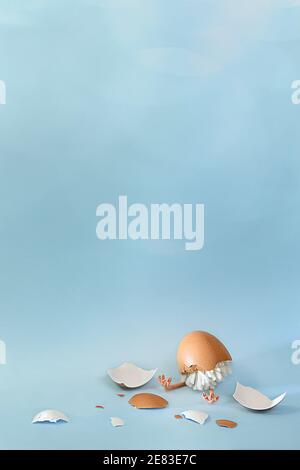 The little cub chick was born and sits half hatched from an egg, with a shell on its head. With legs sticking out among the eggshells. On a blue background with a bokeh from below. Stock Photo