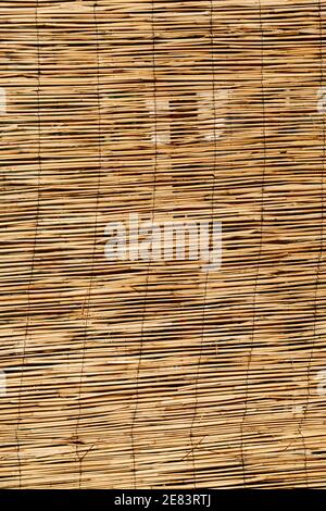 Close-up of a bamboo fence. Wooden curtains made of thin branches. Stock Photo