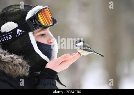 A child hand feeding a bird in the winter Stock Photo