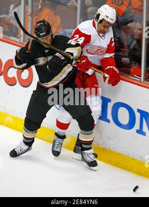 Detroit Red Wing's Chris Chelios training at Gold's Gym Venice August ...