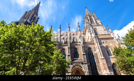 Ulm Minster or Cathedral of Ulm city, Baden-Wurttemberg, Germany. It is famous landmark of Ulm. Panorama of ornate medieval church exterior, scenery o Stock Photo