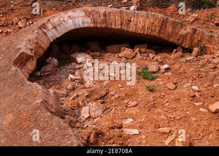 Gypsum layer, Eagle Point Trail, Caprock Canyons State Park, Quitaque, Texas. Stock Photo