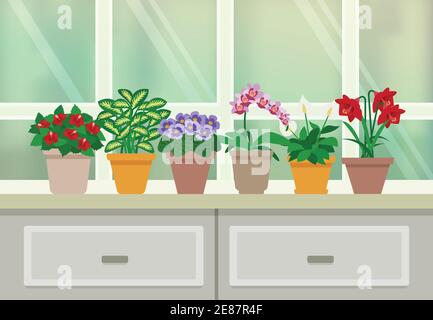 Houseplants and flowers in blossom background with window and drawers flat vector illustration Stock Vector
