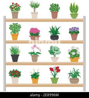 Houseplants and bright flowers in blossom on shelves composition flat vector illustration Stock Vector