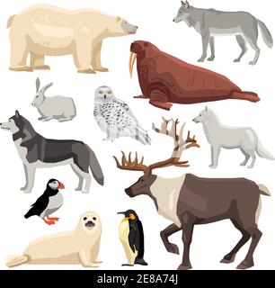 DIfferent flat polar animals and birds set isolated on white background vector illustration Stock Vector