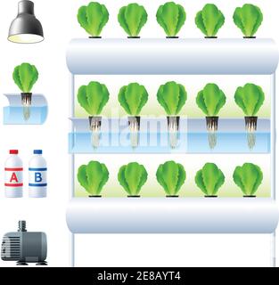 Hydroponics system icon set with equipment and necessary tools for plants cultivation vector illustration Stock Vector