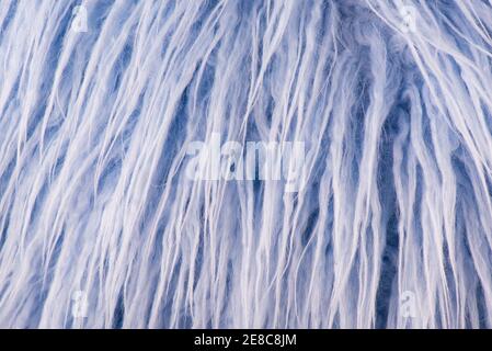 Blue artificial fur for texture or background Stock Photo
