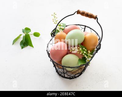 Easter eggs painted with natural herbal dye in pastel colors Stock Photo