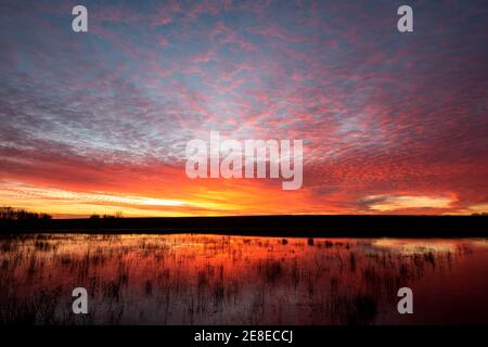 Bingham, Nottinghamshire, UK. 31st Jan 2021. The sunrise over Archer's Lake in Bingham, Nottinghamshire. Neil Squires/Alamy Live News Stock Photo