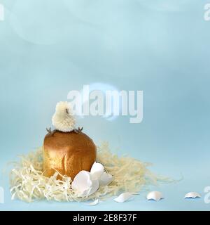The toy chicken sits on top of a baked Easter cake. In the nest, next to a split white egg shell. On a blue background with round bokeh lights and silhouette of a chick shadow in one. Square format. Stock Photo