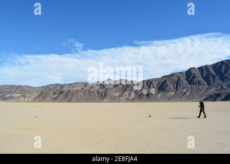 single person standing on the Racetrack Playa in the Death Valley National Park - one man exploration the sailing stones, a phenomenon in the desert, Stock Photo