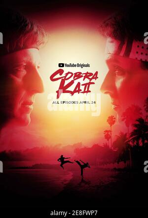 Cobra Kai Poster - 'Sunset Showdown' (Crane Kick) - 24x36 Inch Unframed Print