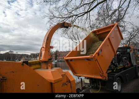 Professional heavy duty shredding machine blows the shredded twigs into a dump truck, during tree and shrub pruning work in the park, selected focus Stock Photo
