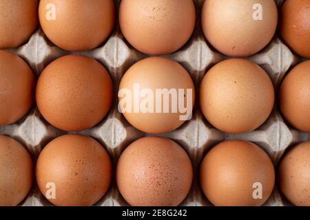 Nice big rural fresh eggs in cardboard egg box holder. Top view. Stock Photo