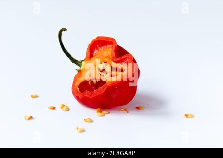 Red habanero chilli pepper isolated with a white background. Stock Photo