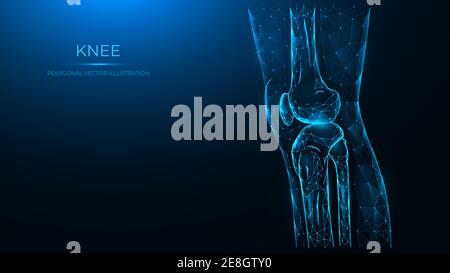 Polygonal vector illustration of the knee joint side view. Thigh and knee made of lines and dots are isolated on a dark blue background. Stock Vector