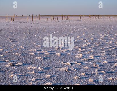 Sunset on the Genichesk pink extremely salty lake (colored by microalgae with crystalline salt depositions), Ukraine. Stock Photo