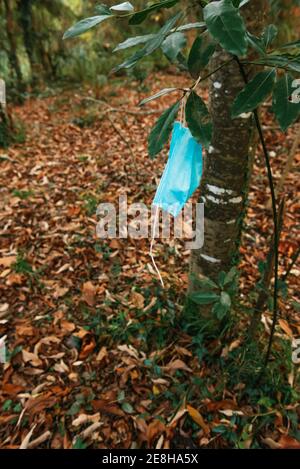 High angle of used disposable medical mask hanging on branch of tree in forest showing concept of environmental pollution Stock Photo