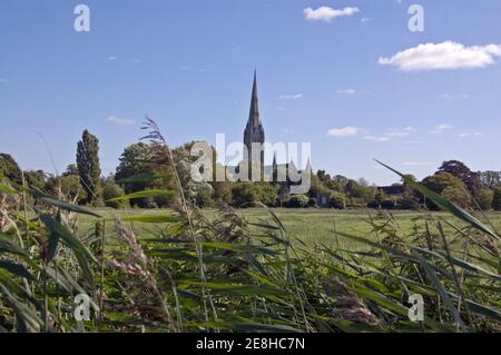View across the water meadows towards the medieval cathedral at Salisbury, Wiltshire. Stock Photo