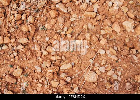 Ground texture background with stones Stock Photo