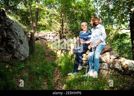 Cheerful mature couple standing on trail in green woods while having break during pole sitting and looking at each other Stock Photo