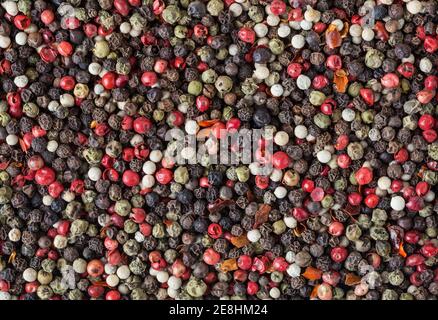 Mixed of diffrent kind peppercorns Stock Photo