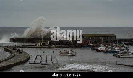 Lyme Regis, Dorset, UK. 31st Jan, 2021. UK Weather: Huge waves crash over the Cobb at high tide following a night of heavy rain and high winds at the coastal resort town of Lyme Regis. Credit: Celia McMahon/Alamy Live News Stock Photo