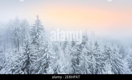 View from Arnstein rock over snowy spruce forest with fog at sunset, Fichtelgebirge, Upper Franconia, Franconia, Bavaria, Germany Stock Photo
