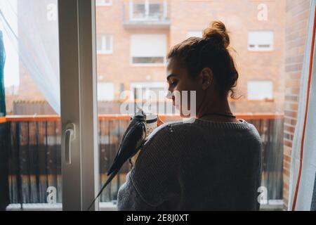 Cute cockatiel bird sitting on shoulder of young thoughtful female owner in warm sweater standing near window and drinking mug of hot beverage at home Stock Photo