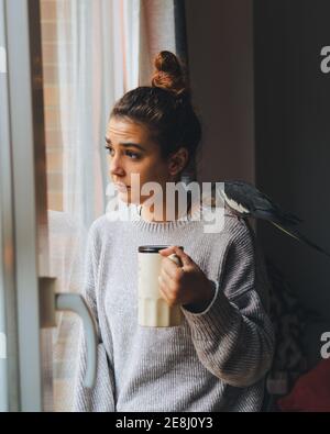 Cute cockatiel bird sitting on shoulder of young thoughtful female owner in warm sweater standing near window and drinking mug of hot beverage at home Stock Photo