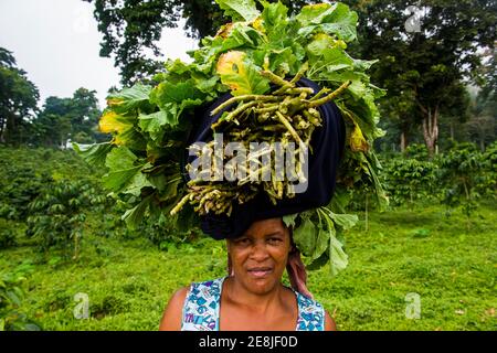 Woman carries a huge stack of vegetables on her head, Sao Tome, Sao Tome and Principe, Atlantic ocean Stock Photo