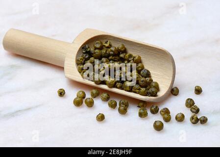 Green pepper ( Piper nigrum) , in wooden shovel, plantation Ambolikapiky, Madagascar Stock Photo