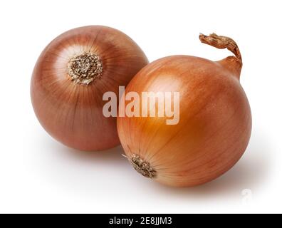 Onion bulbs isolated on white background with clipping path Stock Photo