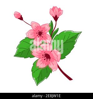 Sakura tree in blossom, blooming flower on branch Stock Vector