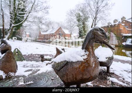 Duck sculture adjacent to the Bridgewater Canal, Worsley.  Created by Bronze Cast Stock Photo