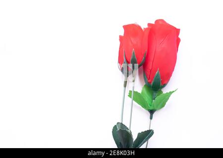 three red roses isolated on white backgrounds Stock Photo
