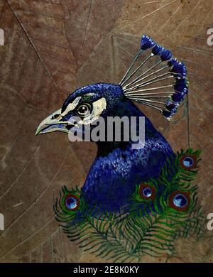 Original oil painting cute peacock bird and peafowl Stock Photo