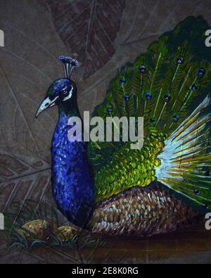 Original oil painting cute peacock bird and peafowl Stock Photo