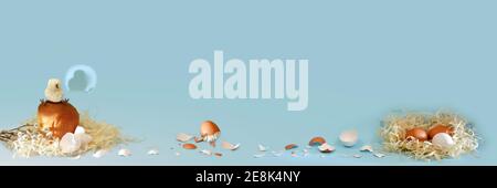 Banner blue, a funny story of the birth of chicks chickens. Nest with eggs, Easter cake with willow sprigs, two hatched babies, one sits at the top, the second with a shell on his head. Stock Photo