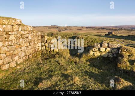 the-remains-of-the-north-west-angle-tower-at-aesica-great-chesters