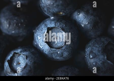 Blueberries covered by water drops. Macro photography of fresh blueberries. Ripe blueberries background. Blueberries texture. Food photography collect Stock Photo