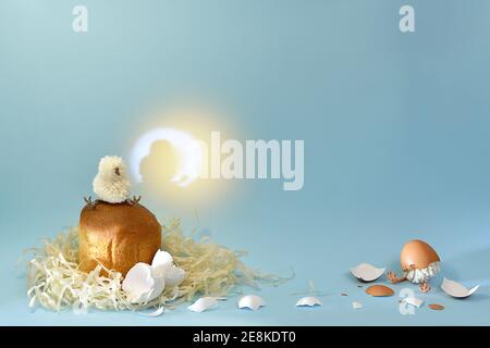 Two newborn chicks and an Easter cake in the nest. On a blue background is a round spot of the sunbeam with a silhouetted shadow reflecting a bird. White and brown eggshells are everywhere. Stock Photo