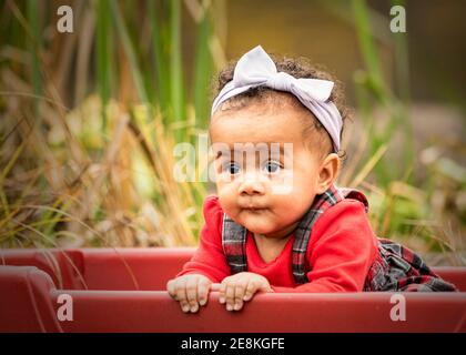 Curious 4-month-old baby girl in plaid suspenders sitting in a red wagon on a Fall Day at the park in Brambleton Virginia. Stock Photo
