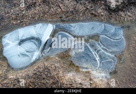 A foot or boot shaped frozen puddle on a muddy path with patterns of frozen and re-frozen ice Stock Photo