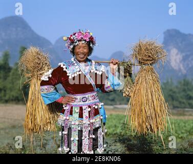 Asia,China,Guangxi, Guilin, Yangshou,Smiling Farming Woman Dressed in Ethnic Costume carrying bunches of rice husks Stock Photo